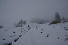 2023 - Schneewanderung 14 km bei Gersfeld - Feldberg - Fuldaquelle - Wasserkuppe -  Eube