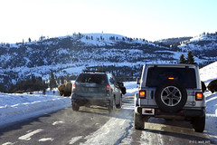 2023-Jan 4, 21, Feb 12 Yellowstone Day Trips