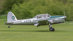 Chipmunk 75th Anniversary fly-in