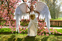 190414 Haarzuilens - Elfia 2019 - Send me an Angel #