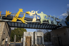千葉市動物公園 2023 Sony α1