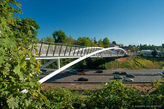 Earl Blumenauer Bridge 2022 Multnomah County Oregon