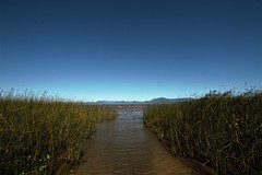 Lagoa dos Quadros - fevereiro 2023