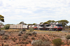 Western Australia 2010