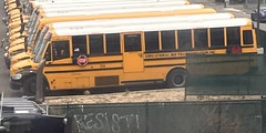Educational Bus Transportation: Hicksville 524