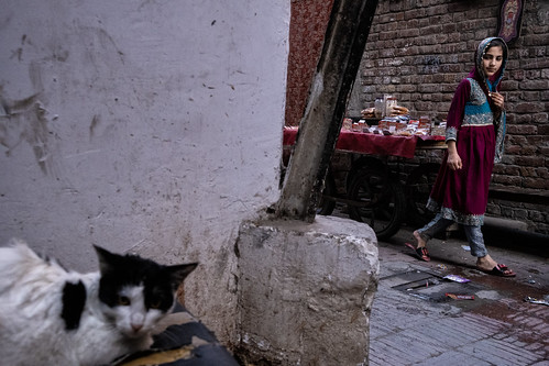 Girl and cat in Lahore