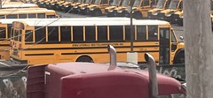 Educational Bus Transportation: Hicksville 513