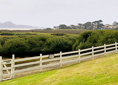Mission Ranch Fence