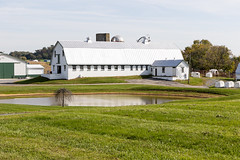 Artie Jay Farm, Dickerson, Maryland, United States