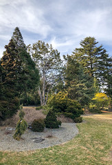 Arboretum Zen