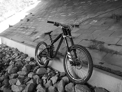 Bicycle Black & White