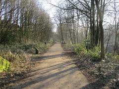 Hebble Trail Walk 13 Feb 2023