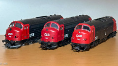 DSB MY in HO (Comparison)