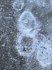Frozen Footsteps 2023-02-17
