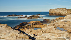 USA: CA, Point Lobos 230219