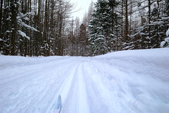 Cross-country skiing - February 19, 2023
