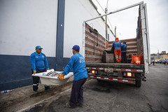 080223 MML realiza limpieza y desinfección en el Cercado de Lima Av. Argentina