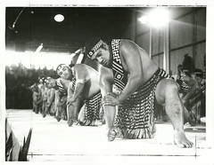 Te Matatini/National Polynesian Festival