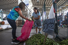 250123 Recolección y entrega de alimentos a ollas comunes en San Juan de Miraflores