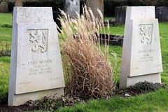 CWGC - Allied and German