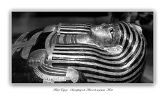 Musée des antiquités égyptiennes de Turin - Museo Egizio en Noir & Blanc