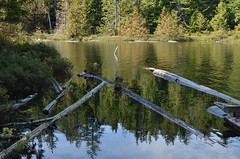 Whyte Lake Hike, 1 Sep 2013