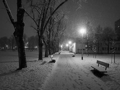 Snowy night walk, February 2023.
