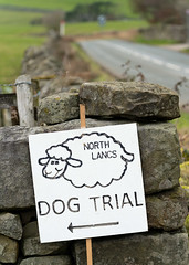 North Lancs Sheepdog Trials, Quernmore, 26/02/23