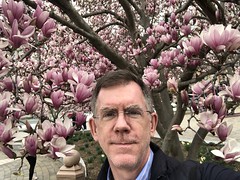 Paul with pink magnolia blossoms, Indiana Plaza, Washington, D.C.