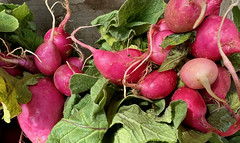 Radishes are for Roasting