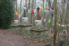Buddha trail, Hollyhill Woods