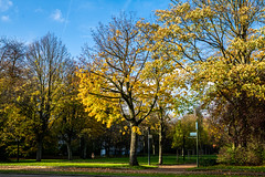 Muinkpark in autumn