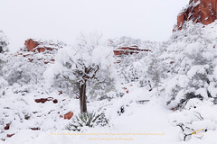 Winter in the American Southwest