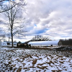 Winter Hike: Moose Hill Farm