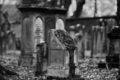Friedhöfe - Cemeterys