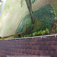 Gutter_Cleaning_Dallas_0558_20230304122245