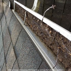 Gutter_Cleaning_Dallas_1805_20230304130012