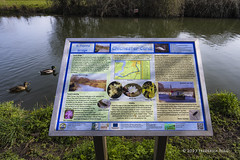 Chichester Canal Signage