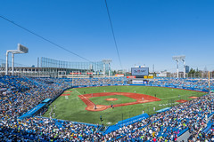 Japanese Baseball Experience