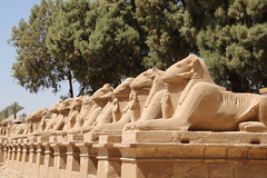 Egypt - Luxor, Karnak