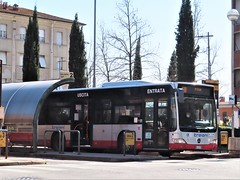 Autoservizi Troiani Roma (I) buses