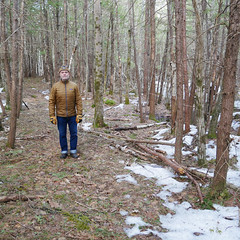 Winter Hike: Meadow Woods Preserve