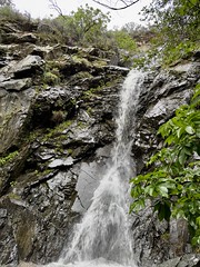 Mountain View Falls