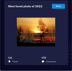 My Flickr year 2022
