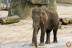 Besuch Nr. 1009. am 17-03-2023 in Köln (Zoo)