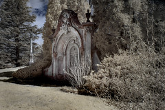 Spring Grove Cemetery in Infrared