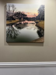 The Clubhouse Wall Art