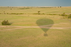 Masaai Mara National Reserve - Kenya 2023