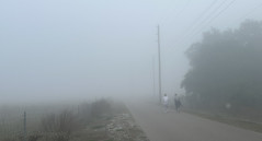 Fog Advisory 3