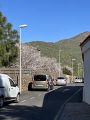 Tenerife - March 2023
